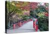 Daisho-In Temple in Autumn, Miyajima Island, Hiroshima Prefecture, Honshu, Japan, Asia-Christian Kober-Stretched Canvas