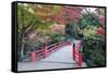 Daisho-In Temple in Autumn, Miyajima Island, Hiroshima Prefecture, Honshu, Japan, Asia-Christian Kober-Framed Stretched Canvas