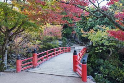 https://imgc.allpostersimages.com/img/posters/daisho-in-temple-in-autumn-miyajima-island-hiroshima-prefecture-honshu-japan-asia_u-L-PSLY3E0.jpg?artPerspective=n