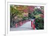 Daisho-In Temple in Autumn, Miyajima Island, Hiroshima Prefecture, Honshu, Japan, Asia-Christian Kober-Framed Photographic Print