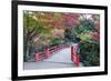 Daisho-In Temple in Autumn, Miyajima Island, Hiroshima Prefecture, Honshu, Japan, Asia-Christian Kober-Framed Photographic Print