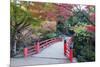 Daisho-In Temple in Autumn, Miyajima Island, Hiroshima Prefecture, Honshu, Japan, Asia-Christian Kober-Mounted Photographic Print