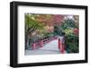 Daisho-In Temple in Autumn, Miyajima Island, Hiroshima Prefecture, Honshu, Japan, Asia-Christian Kober-Framed Photographic Print