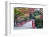 Daisho-In Temple in Autumn, Miyajima Island, Hiroshima Prefecture, Honshu, Japan, Asia-Christian Kober-Framed Photographic Print