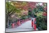 Daisho-In Temple in Autumn, Miyajima Island, Hiroshima Prefecture, Honshu, Japan, Asia-Christian Kober-Mounted Photographic Print