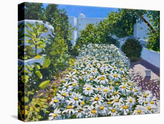 Daisies,2018-Andrew Macara-Stretched Canvas