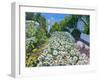 Daisies,2018-Andrew Macara-Framed Giclee Print