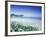 Daisies along Crescent Beach, Olympic National Park, Washington, USA-Adam Jones-Framed Photographic Print