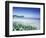 Daisies along Crescent Beach, Olympic National Park, Washington, USA-Adam Jones-Framed Photographic Print