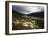 Daisies Along The Bow River, Alberta, Canada-George Oze-Framed Photographic Print