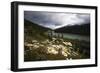 Daisies Along The Bow River, Alberta, Canada-George Oze-Framed Photographic Print