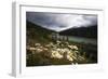 Daisies Along The Bow River, Alberta, Canada-George Oze-Framed Photographic Print