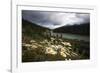 Daisies Along The Bow River, Alberta, Canada-George Oze-Framed Photographic Print