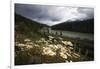 Daisies Along The Bow River, Alberta, Canada-George Oze-Framed Photographic Print