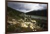 Daisies Along The Bow River, Alberta, Canada-George Oze-Framed Photographic Print