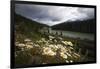 Daisies Along The Bow River, Alberta, Canada-George Oze-Framed Photographic Print