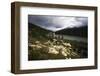 Daisies Along The Bow River, Alberta, Canada-George Oze-Framed Photographic Print