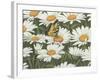 Daisies and Butterfly-William Vanderdasson-Framed Giclee Print