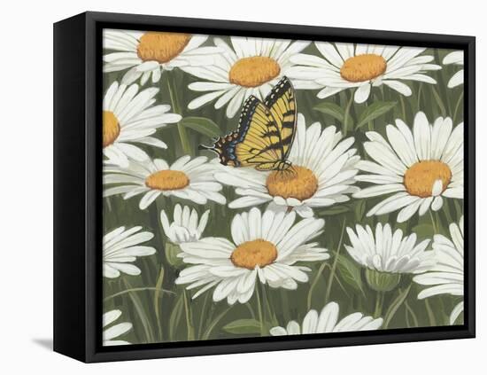 Daisies and Butterfly-William Vanderdasson-Framed Stretched Canvas