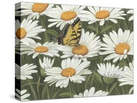 Daisies and Butterfly-William Vanderdasson-Stretched Canvas