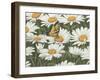 Daisies and Butterfly-William Vanderdasson-Framed Giclee Print