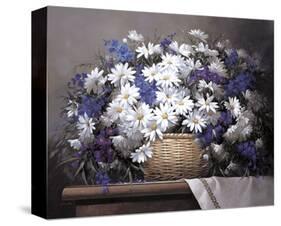 Daisies and Delphiniums-Victor Santos-Stretched Canvas