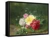 Daisies and Roses-Jules Medard-Framed Stretched Canvas