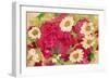 Daisies And Roses-Wolf Heart Illustrations-Framed Giclee Print
