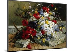 Daisies, Cornflowers and Poppies-Eugene Henri Cauchois-Mounted Photographic Print