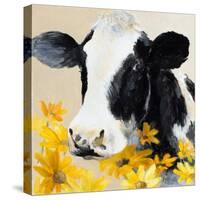 Daisies for You II-Lanie Loreth-Stretched Canvas