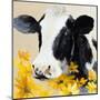 Daisies for You II-Lanie Loreth-Mounted Art Print