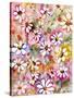 Daisies Galore-Neela Pushparaj-Stretched Canvas