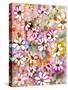 Daisies Galore-Neela Pushparaj-Stretched Canvas