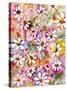 Daisies Galore-Neela Pushparaj-Stretched Canvas