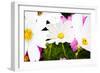 Daisies I-Susan Bryant-Framed Photographic Print