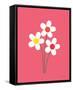 Daisies I-Ann Kelle-Framed Stretched Canvas