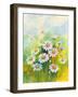 Daisies in a Flower-ZPR Int’L-Framed Giclee Print