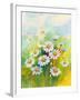 Daisies in a Flower-ZPR Int’L-Framed Giclee Print