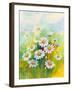 Daisies in a Flower-ZPR Int’L-Framed Giclee Print