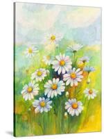 Daisies in a Flower-ZPR Int’L-Stretched Canvas