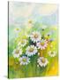 Daisies in a Flower-ZPR Int’L-Stretched Canvas