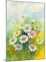 Daisies in a Flower-ZPR Int’L-Mounted Giclee Print