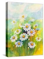 Daisies in a Flower-ZPR Int’L-Stretched Canvas