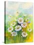 Daisies in a Flower-ZPR Int’L-Stretched Canvas