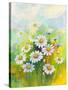 Daisies in a Flower-ZPR Int’L-Stretched Canvas