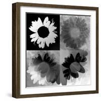 Daisies In Black And White-Ruth Palmer-Framed Art Print