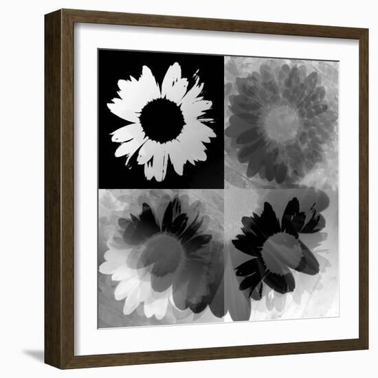 Daisies In Black And White-Ruth Palmer-Framed Art Print