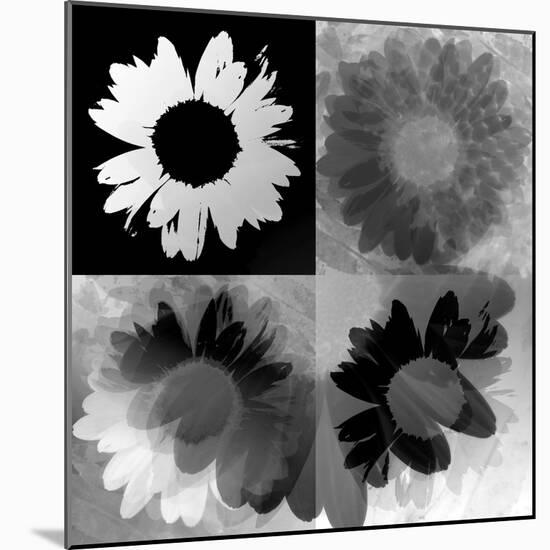 Daisies In Black And White-Ruth Palmer-Mounted Art Print