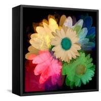 Daisies In Color II-Ruth Palmer-Framed Stretched Canvas