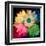 Daisies In Color II-Ruth Palmer-Framed Art Print